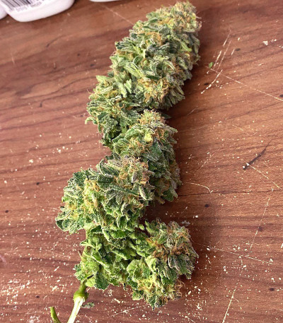 Lemon Tree от Barney's Farm семена конопли