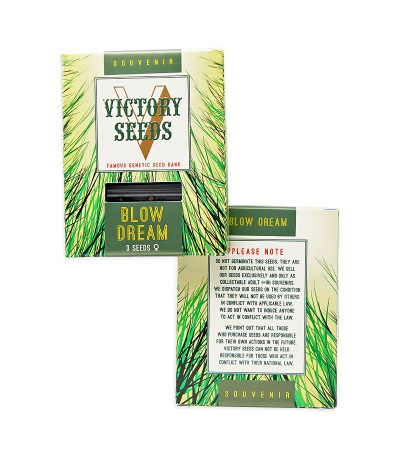Blow Dream fem (Victory Seeds) семена конопли