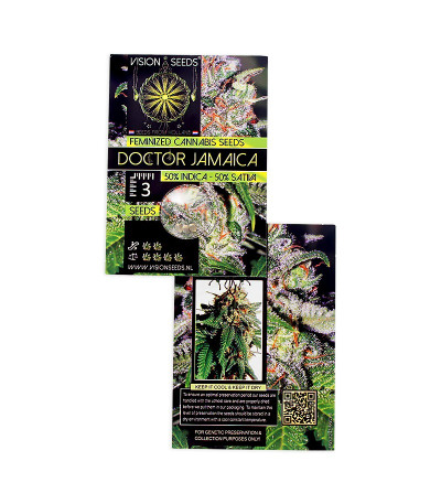 Doctor Jamaica fem (Vision Seeds) семена конопли