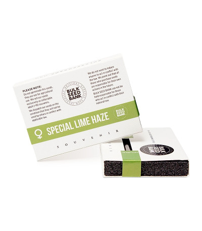 Special Lime Haze fem семена конопли