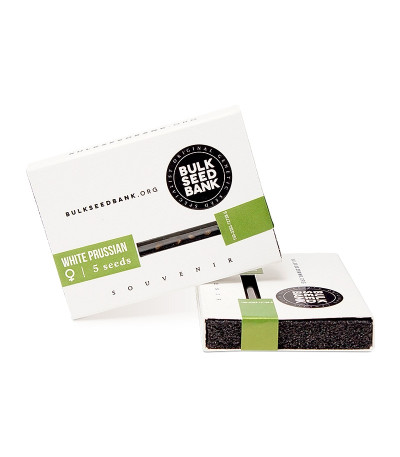 White Prussian fem семена конопли
