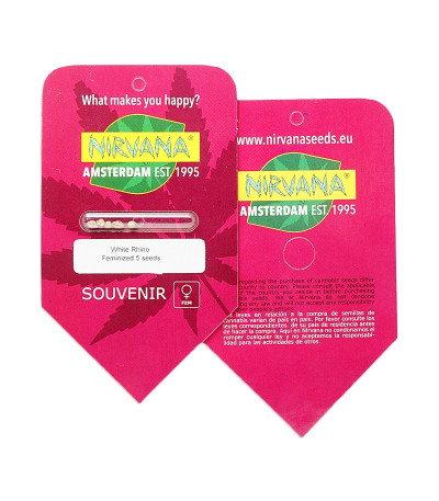 White Rhino fem (Nirvana Seeds) семена конопли