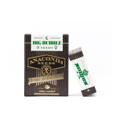 Big Bubble fem (Anaconda Seeds) семена конопли