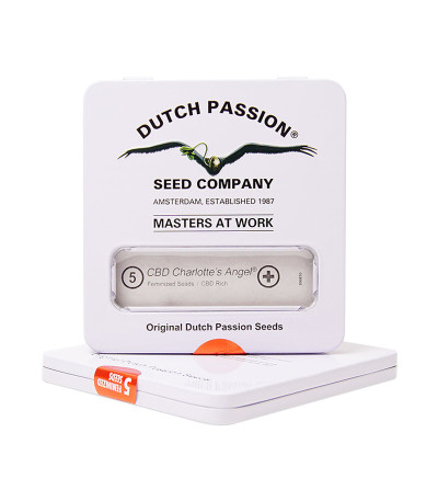 CBD Charlotte’s Angel fem (Dutch Passion) семена каннабиса