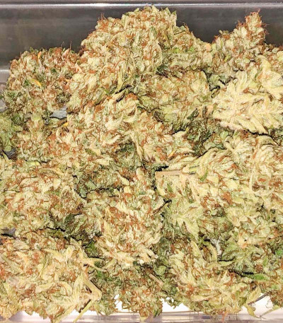 NYC Diesel Auto fem (Barney's Farm) семена конопли