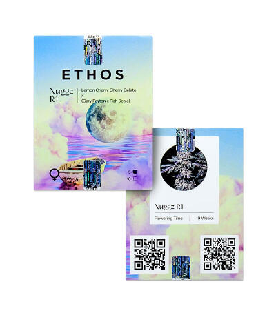 Nuggz R1 fem (Ethos Genetics) семена конопли