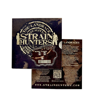 Money Maker fem (Strain Hunters) семена конопли