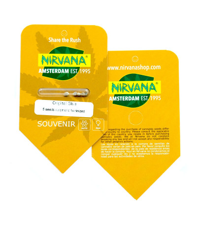 Original Glue Auto fem (Nirvana Seeds) семена конопли