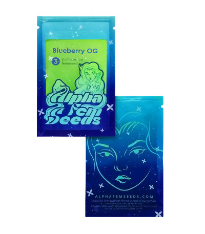 Blueberry OG fem (AlphaFem Seeds) семена конопли