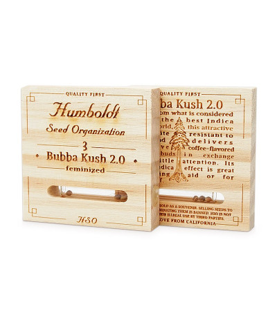 Семена каннабиса Bubba Kush 2.0 в оригинальной упаковке
