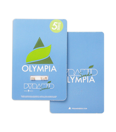 Olympia fem (Pyramid Seeds) семена конопли