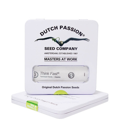 Семена каннабиса Think Fast в оригинальной упаковке