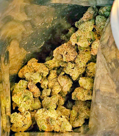 Garlic Cookies fem семена конопли