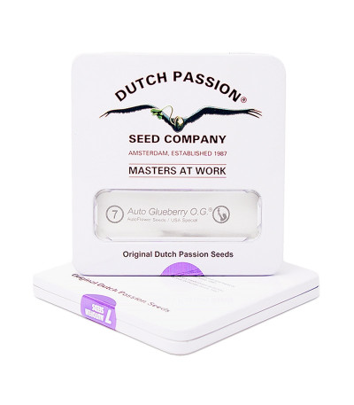 Семена марихуаны Auto Glueberry O.G. в оригинальной упаковке
