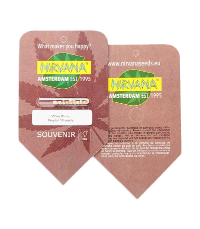 White Rhino reg (Nirvana Seeds) семена конопли