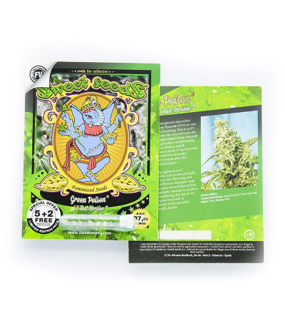 Green Poison F1 Fast Version fem (Sweet Seeds) семена конопли