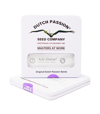 Auto Xtreme fem (Dutch Passion) семена конопли