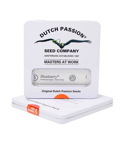 Семена конопли Blueberry в оригинальной упаковке