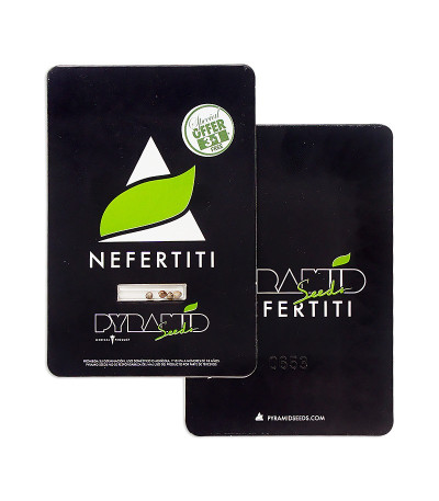 Nefertiti fem (Pyramid Seeds) семена конопли