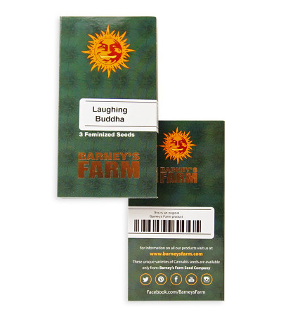 Laughing Buddha fem семена конопли