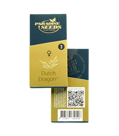 Dutch Dragon fem (Paradise Seeds) семена конопли