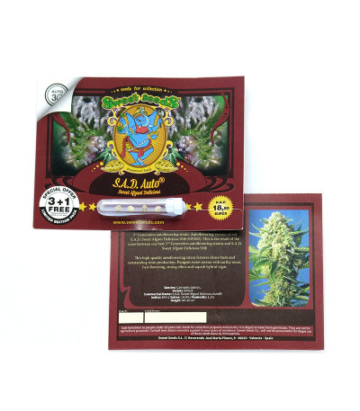 S.A.D. Sweet Afgani Delicious Auto fem (Sweet Seeds) семена конопли
