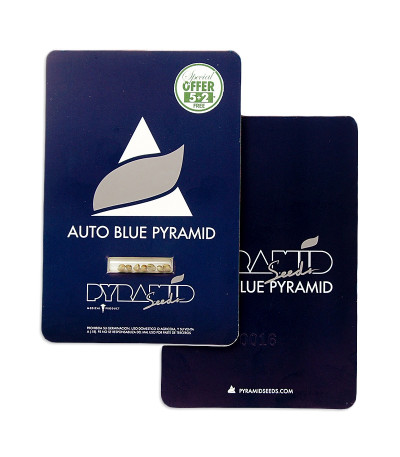 Auto Blue Pyramid fem (Pyramid Seeds) семена конопли