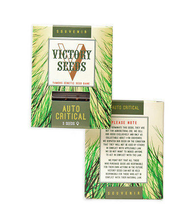 Auto Critical fem (Victory Seeds) семена конопли