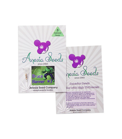Bruce Banner #3 fem (Anesia Seeds) семена конопли