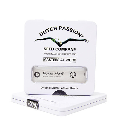 Power Plant reg (Dutch Passion) семена конопли