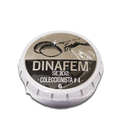 Pack Coleccionista №4 микс семян конопли