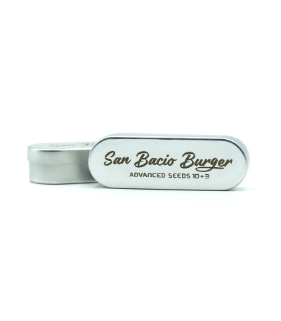 San Bacio Burger fem (Advanced Seeds) семена конопли