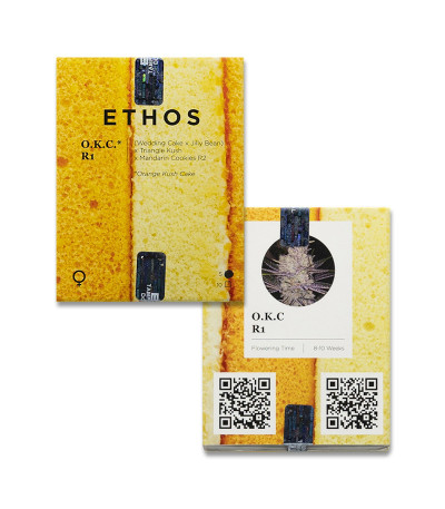 Orange Kush Cake R1 fem (Ethos Genetics) семена конопли