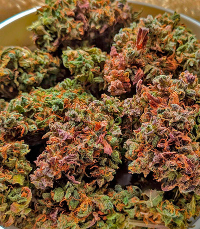 CBD Apple Betty Auto fem (Herbies Seeds) семена конопли