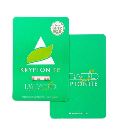 Kryptonite fem (Pyramid Seeds) семена конопли