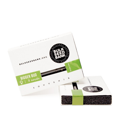 Bigger Bud fem семена конопли