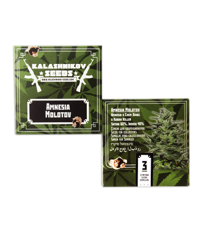 Amnesia Molotov (Kalashnikov Seeds) семена конопли