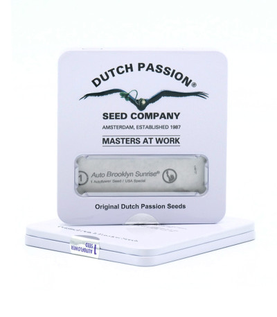 Auto Brooklyn Sunrise fem (Dutch Passion) семена конопли