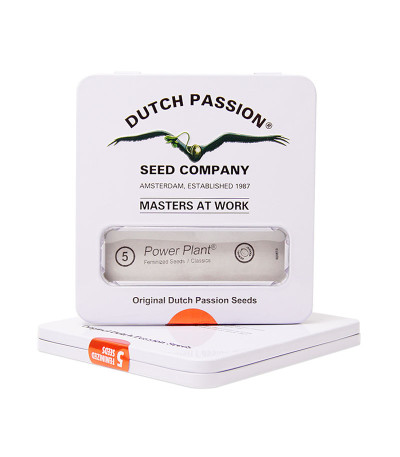 Power Plant fem (Dutch Passion) семена конопли
