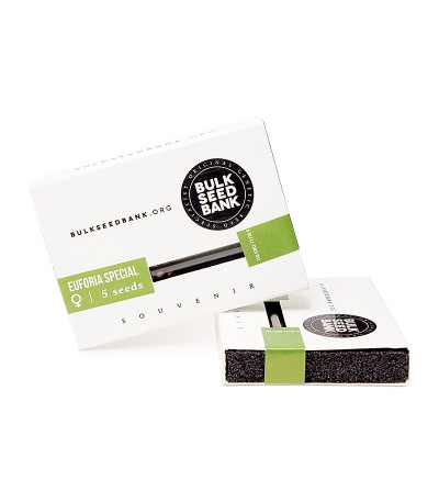Euforia Special fem (Bulk Seed Bank) семена конопли