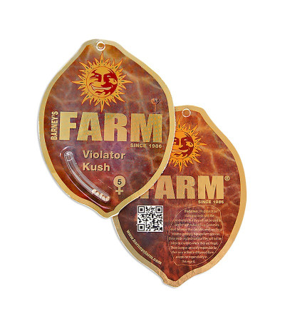Violator Kush fem (Barney's Farm) семена конопли