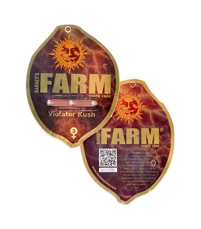 Violator Kush fem (Barney's Farm) семена конопли