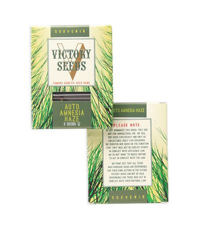 Auto Amnesia Haze fem (Victory Seeds) семена конопли