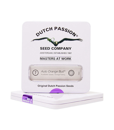 Auto Orange Bud fem (Dutch Passion) семена конопли
