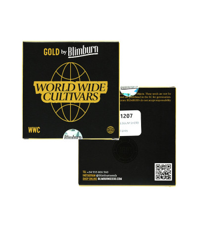 Bubble Gum Sherb fem (Blimburn Seeds) семена конопли