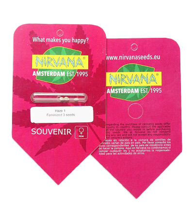 Amnesia Haze (Haze 1) fem (Nirvana Seeds) семена конопли