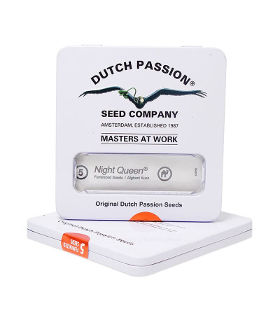 Семена конопли Night Queen в оригинальной упаковке