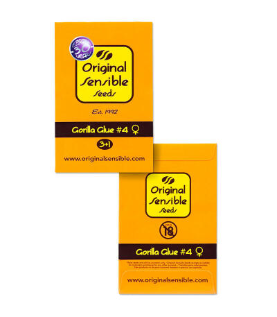 Gorilla Glue #4 fem (Original Sensible Seeds) семена конопли