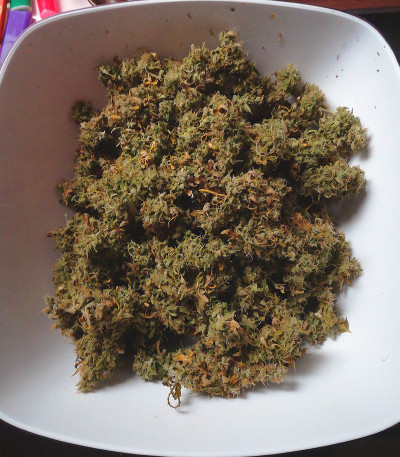 Taison Auto fem (VIP seeds) семена конопли