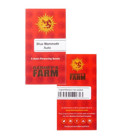 Blue Mammoth Auto fem семена конопли